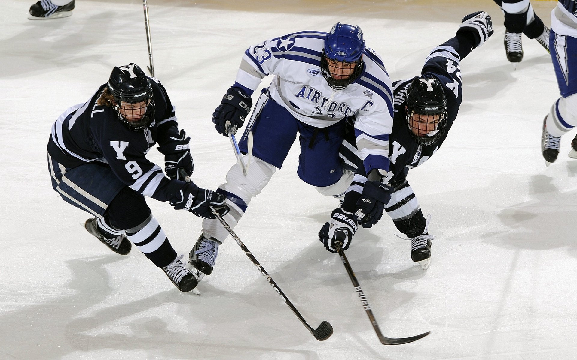 _鹈鹕竞争激烈，球队士气高昂_，鹈鹕是哪个队改的名