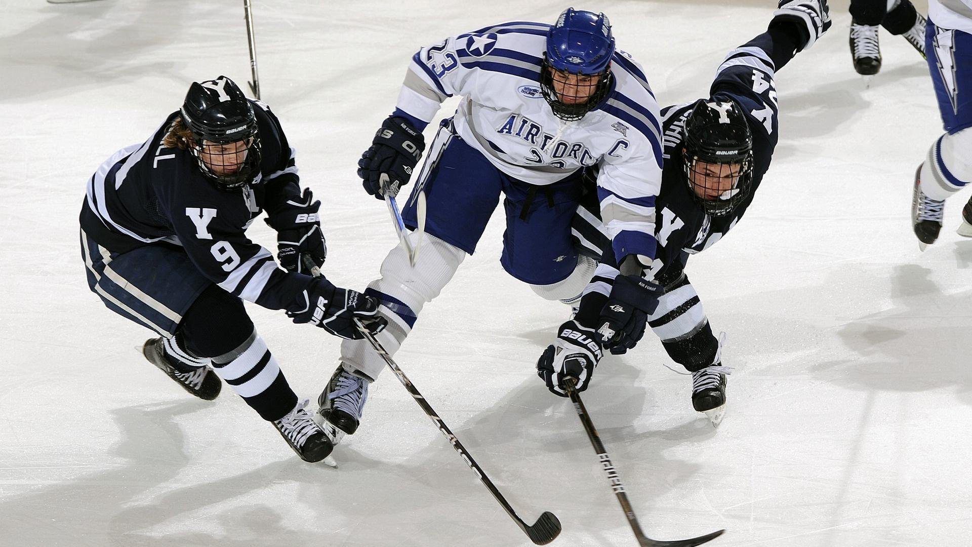世界极限飞盘公开赛，空中飞舞的运动盛会，极限飞盘正式比赛场地